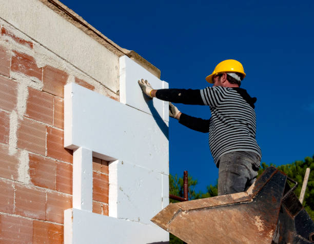 Best Specialized Insulation Services in Pagedale, MO