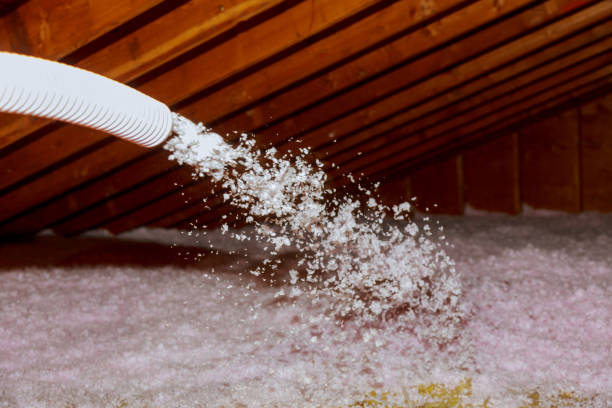 Best Spray Foam Insulation in Pagedale, MO