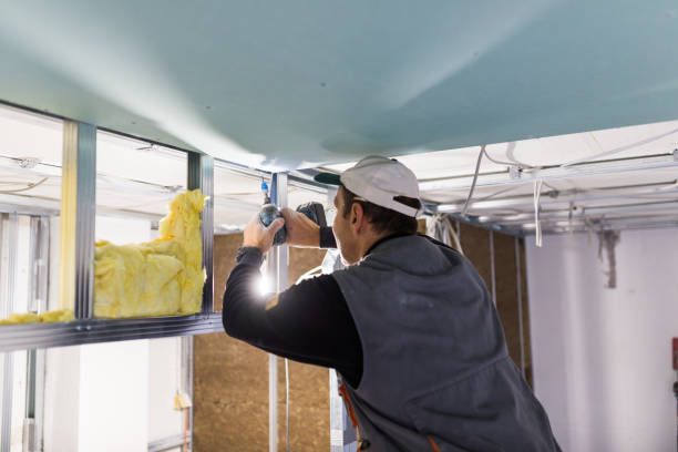 Best Geographic-Specific Insulation Services in Pagedale, MO