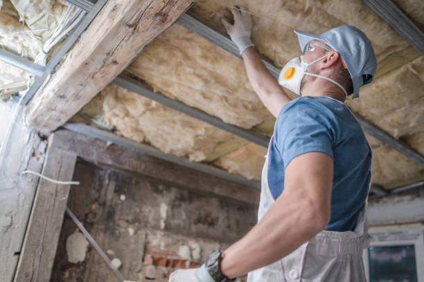  Pagedale, MO Insulation Contractor Pros