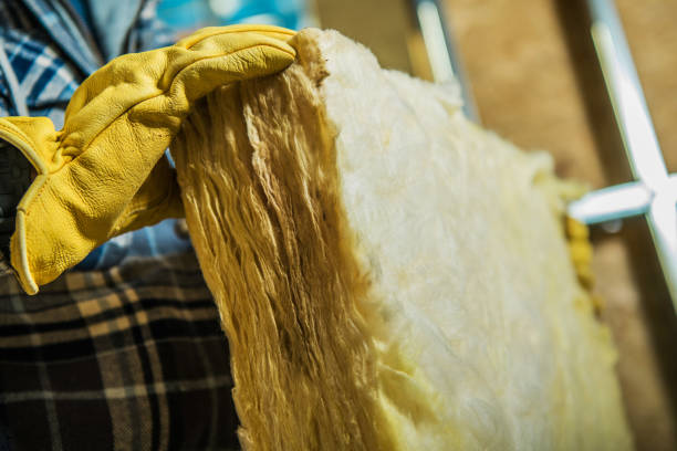 Best Eco-Friendly Insulation in Pagedale, MO