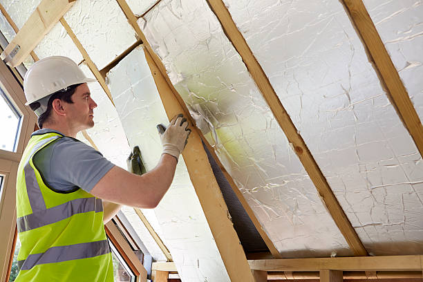 Best Insulation Maintenance and Repair in Pagedale, MO