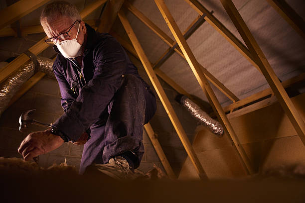 Best Blown-in Insulation in Pagedale, MO