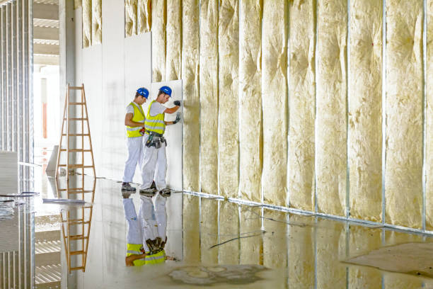 Professional Insulation Contractor in Pagedale, MO
